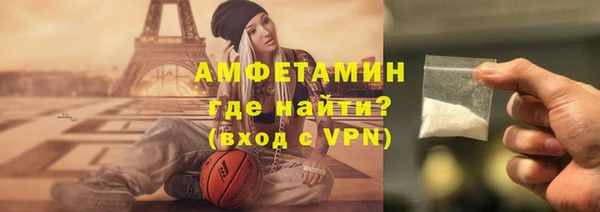 ПСИЛОЦИБИНОВЫЕ ГРИБЫ Вяземский