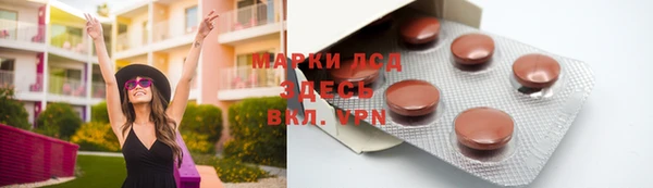 ПСИЛОЦИБИНОВЫЕ ГРИБЫ Вяземский