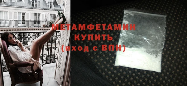 ПСИЛОЦИБИНОВЫЕ ГРИБЫ Вяземский