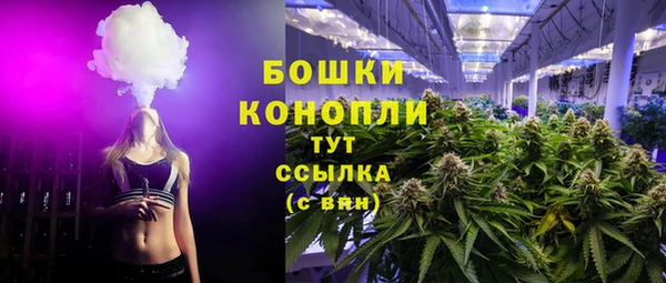 шишки Фурманов
