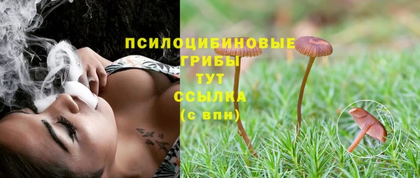 ПСИЛОЦИБИНОВЫЕ ГРИБЫ Вяземский